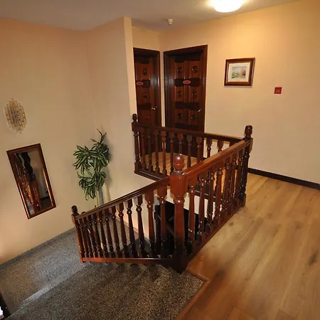 Hotel Pelayo 2*